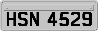HSN4529