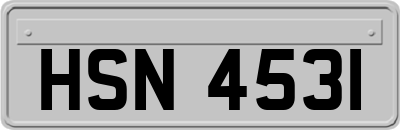 HSN4531