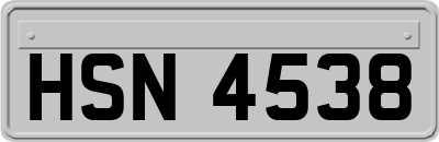 HSN4538