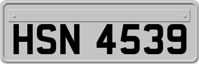 HSN4539