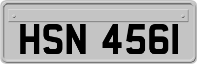 HSN4561