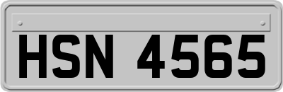 HSN4565