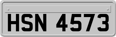 HSN4573