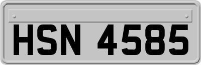 HSN4585
