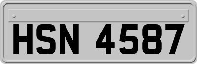 HSN4587