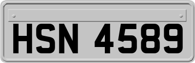 HSN4589