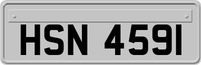 HSN4591