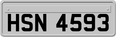 HSN4593