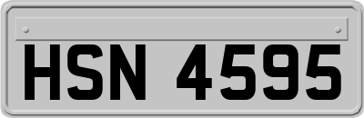 HSN4595