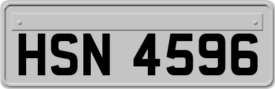 HSN4596