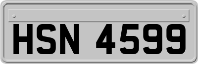 HSN4599