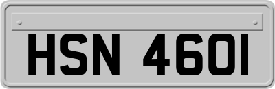 HSN4601