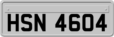 HSN4604