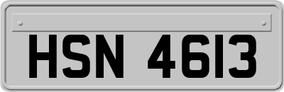 HSN4613