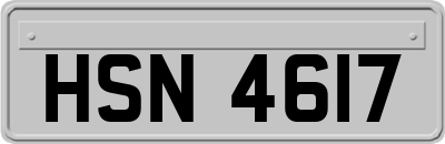 HSN4617