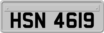 HSN4619