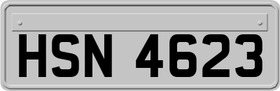 HSN4623