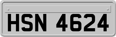 HSN4624