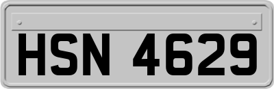 HSN4629