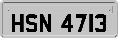 HSN4713