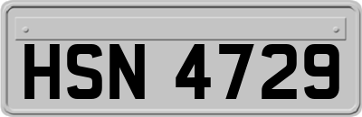 HSN4729