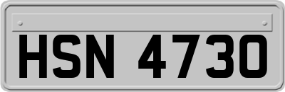 HSN4730