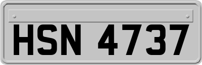 HSN4737