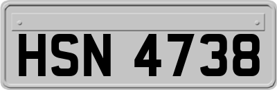 HSN4738