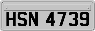 HSN4739