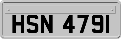 HSN4791