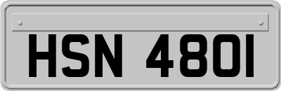 HSN4801