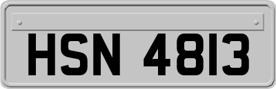 HSN4813