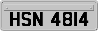 HSN4814