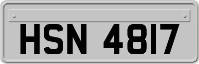 HSN4817