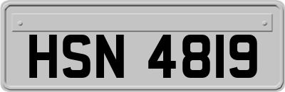 HSN4819