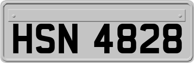 HSN4828