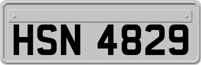 HSN4829