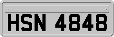 HSN4848