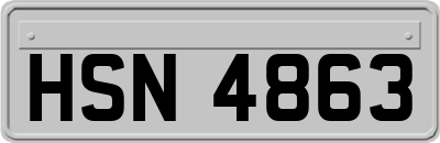 HSN4863