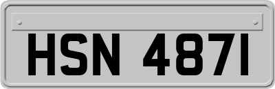 HSN4871