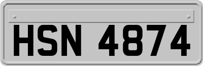 HSN4874