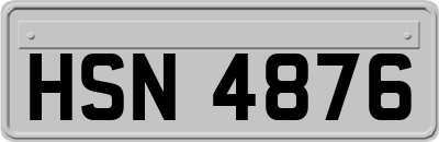 HSN4876