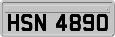 HSN4890