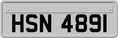 HSN4891