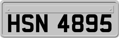 HSN4895
