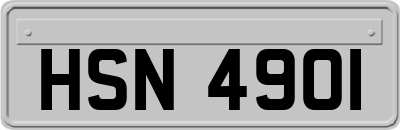 HSN4901