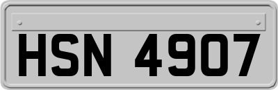 HSN4907