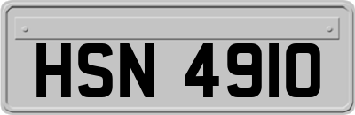 HSN4910