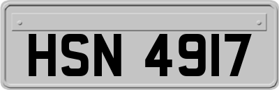 HSN4917
