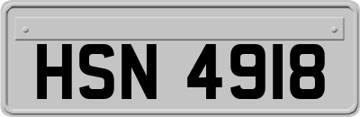 HSN4918